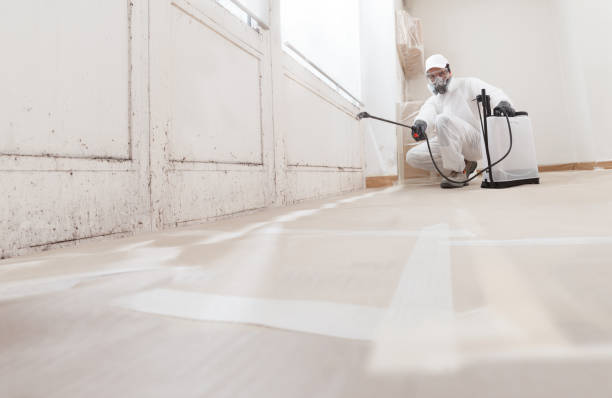 Post-remediation clearance in Kenilworth